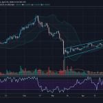 Cardano : Hausse à venir